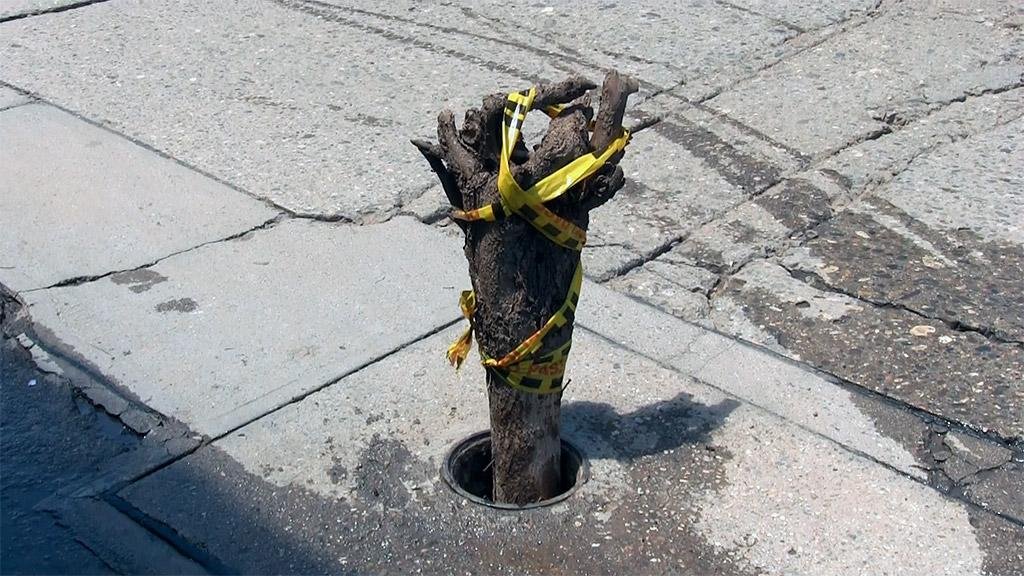 MUJER SE ACCIDENTÓ POR FALTA DE TAPA EN VÁLVULA DE LA ESPA