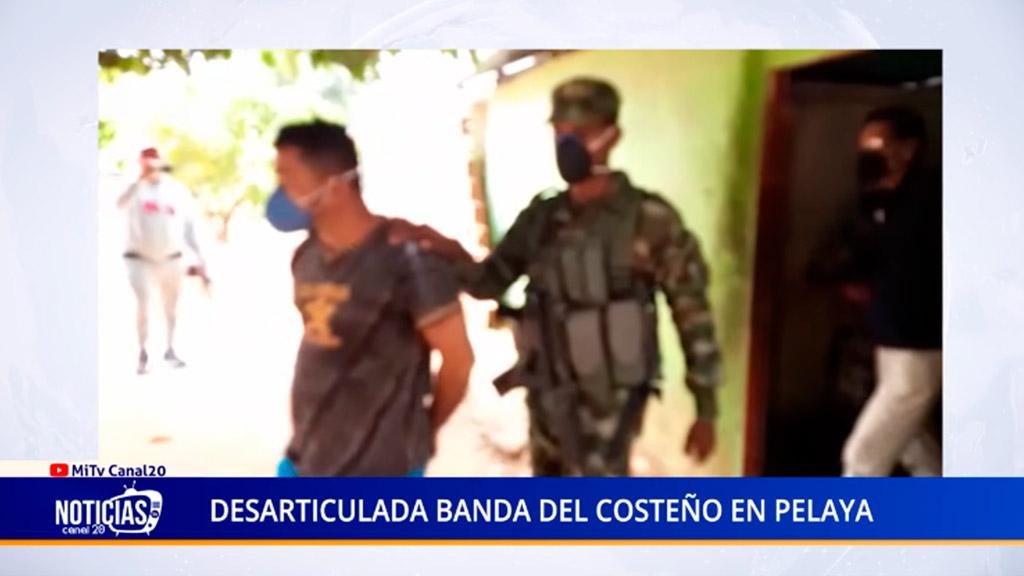 DESARTICULADA BANDA DEL COSTEÑO EN PELAYA