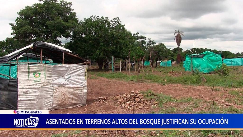 ASENTADOS EN TERRENOS DEL BOSQUE JUSTIFICAN OCUPACIÓN