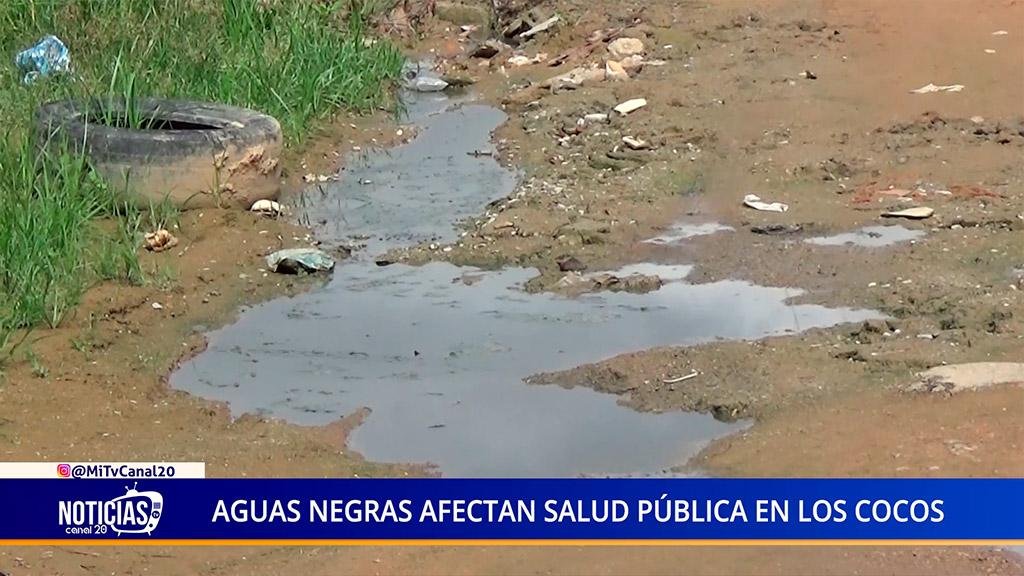 AGUAS NEGRAS AFECTAN SALUD PÚBLICA EN LOS COCOS