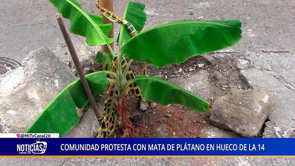 COMUNIDAD PROTESTA CON MATA DE PLÁTANO EN HUECO DE LA 14