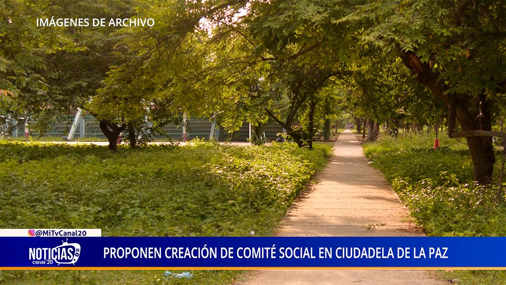 PROPONEN CREACIÓN DE COMITÉ SOCIAL EN CIUDADELA DE LA PAZ