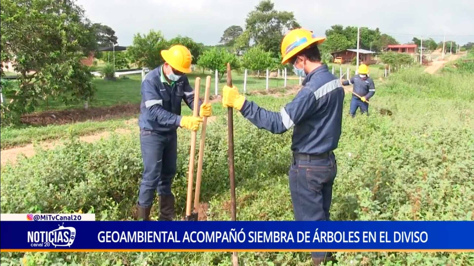 GEOAMBIENTAL ACOMPAÑÓ SIEMBRA DE ÁRBOLES EN EL DIVISO