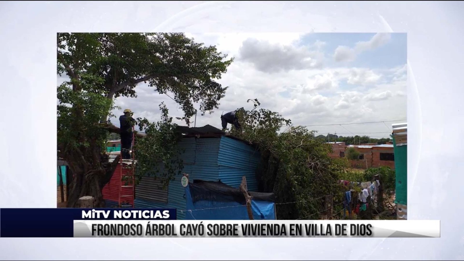 FRONDOSO ÁRBOL CAYÓ SOBRE VIVIENDA EN VILLA DE DIOS