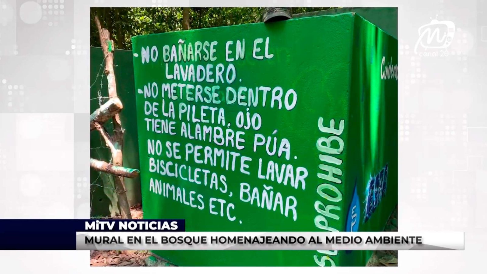 MURAL EN EL BOSQUE HOMENAJEANDO AL MEDIO AMBIENTE