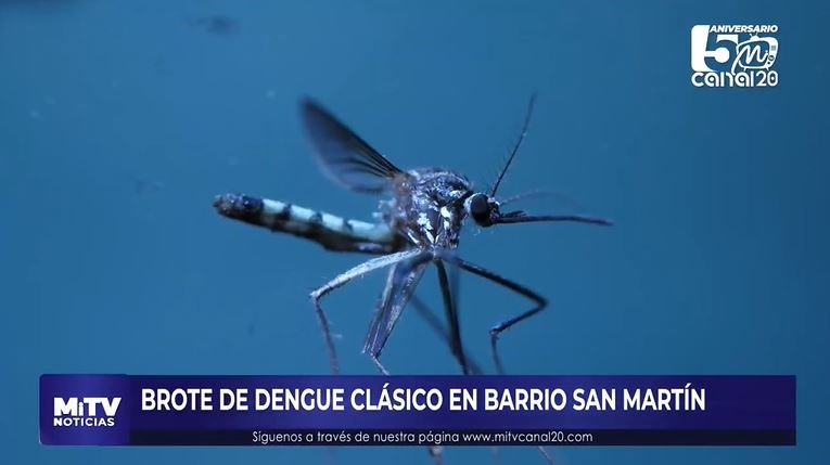 BROTE DE DENGUE CLÁSICO EN BARRIO SAN MARTÍN