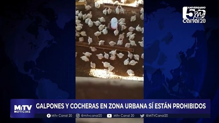 GALPONES Y COCHERAS EN ZONA URBANA SÍ ESTÁN PROHIBIDOS
