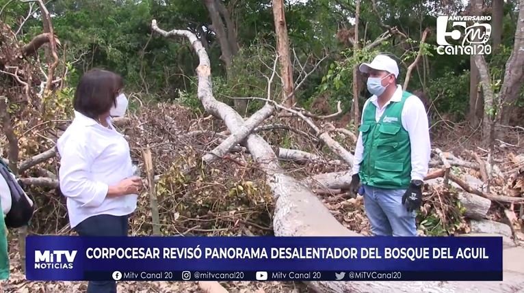 CORPOCESAR REVISÓ PANORAMA DESALENTADOR DEL BOSQUE DEL AGUIL