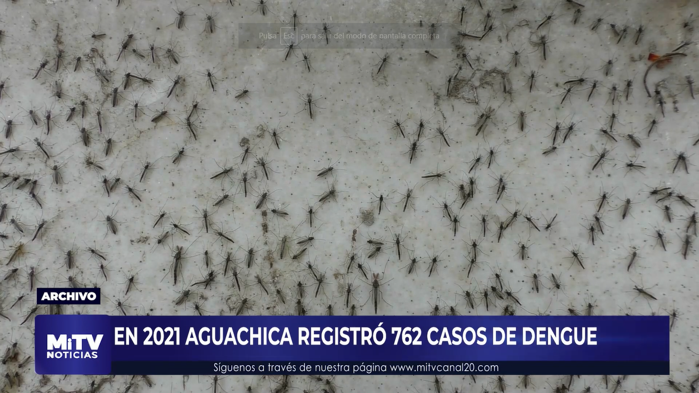 CASOS DE DENGUE PODRÍAN AUMENTAR EN 2022