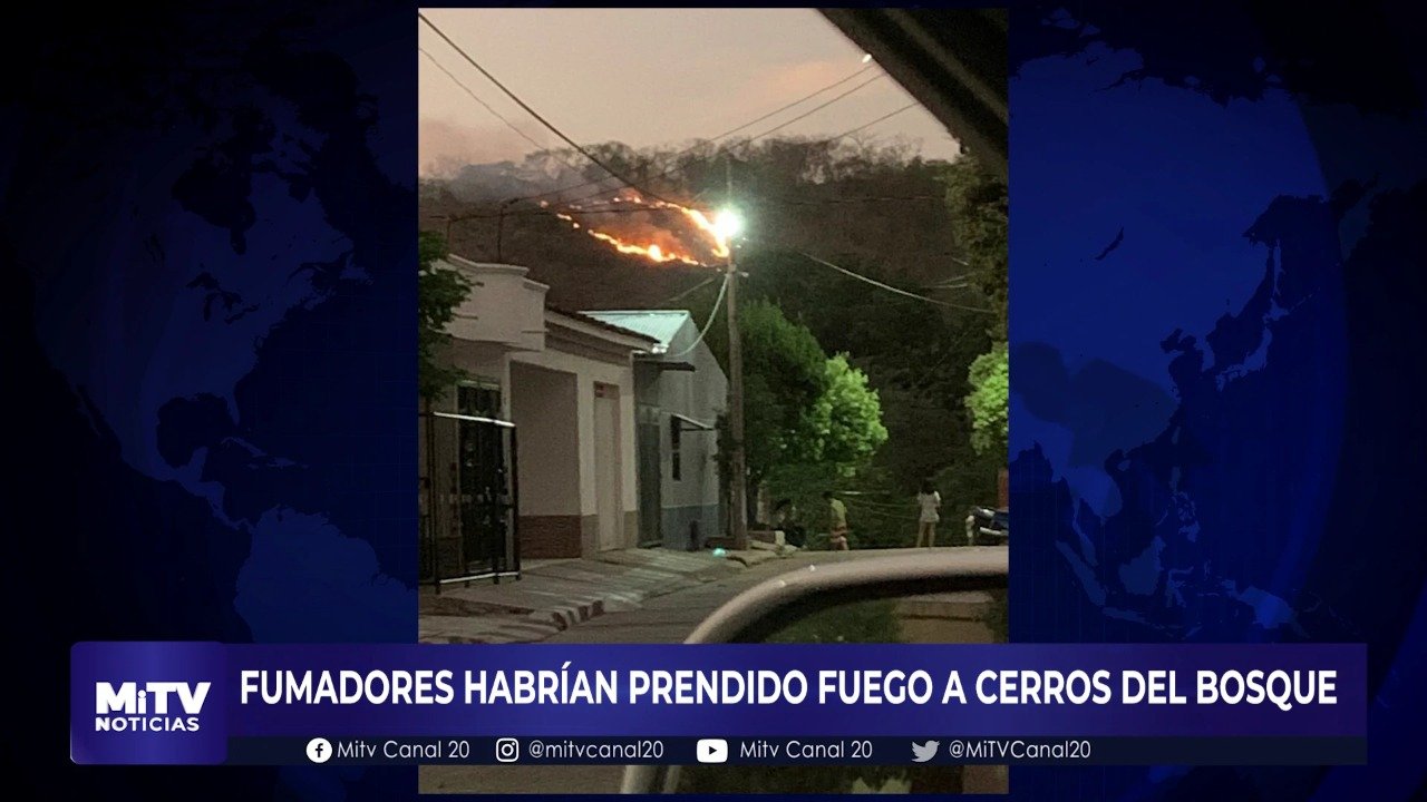 FUMADORES HABRÍAN PRENDIDO FUEGO AL BOSQUE