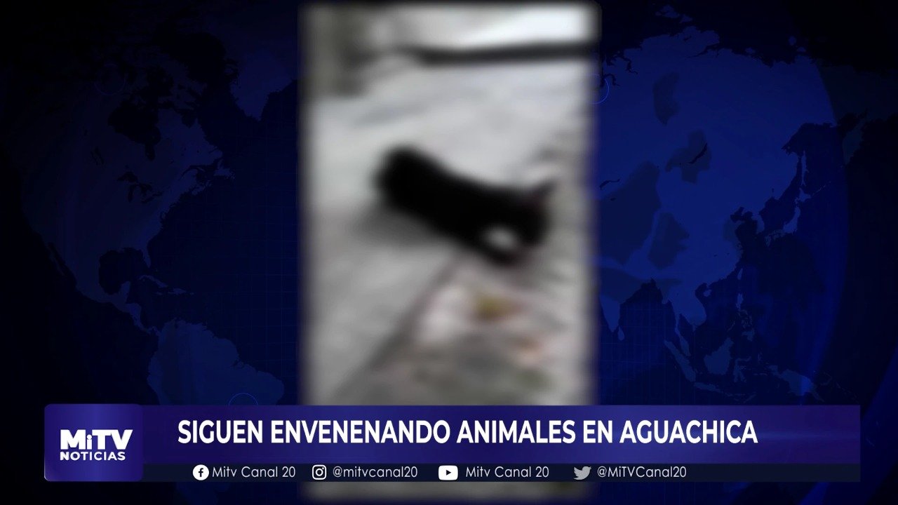 ANIMALES