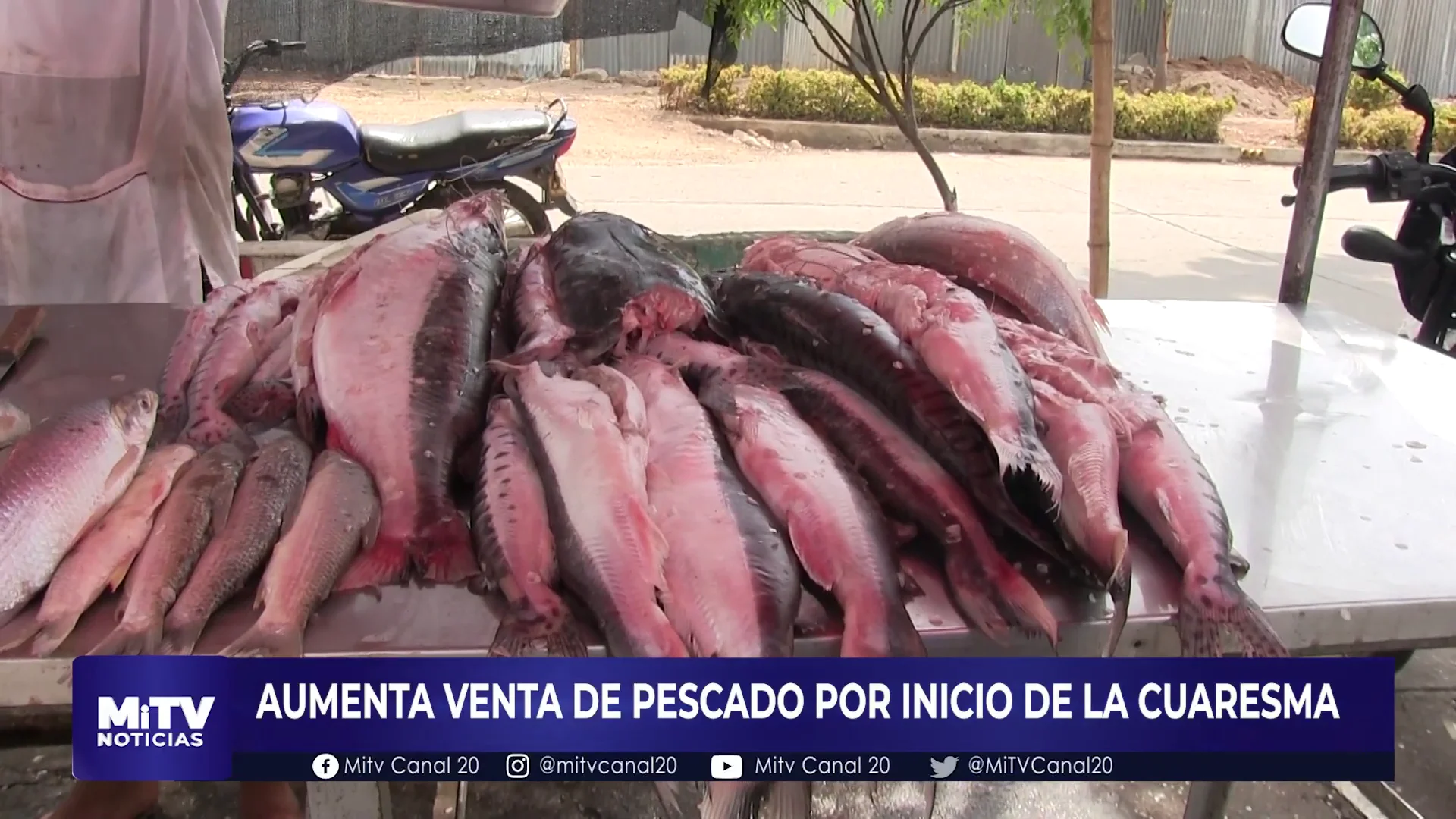 AUMENTA LA VENTA DE PESCADO