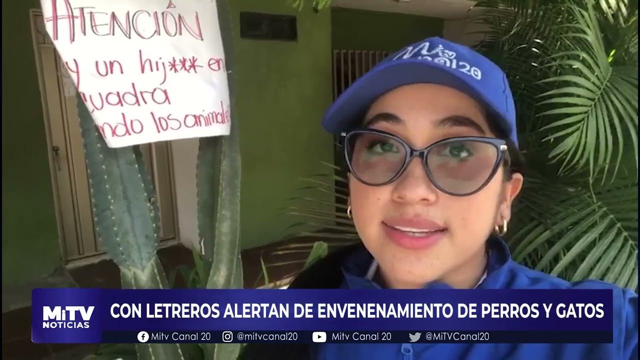 LETREROS PARA OFENDER A ASESINO DE MASCOTAS