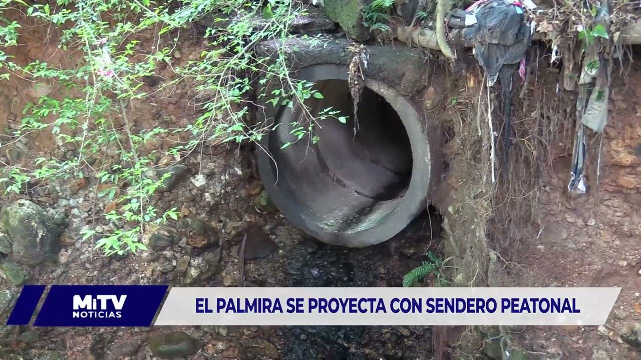 EL PALMIRA SE PROYECTA CON SENDERO PEATONAL PARA UNA VÍA