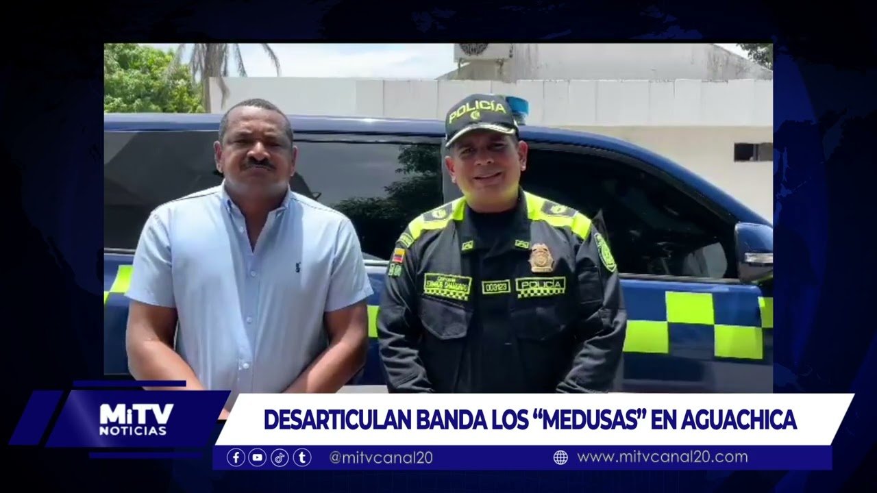 DESARTICULAR BANDA DEDICADA AL HURTO