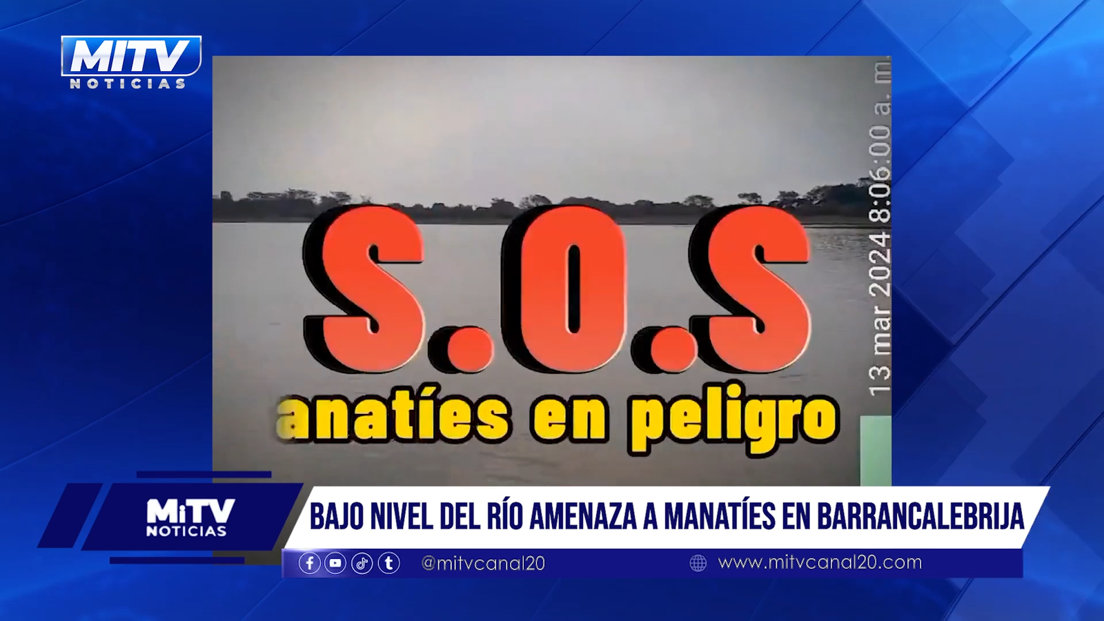 Bajo Nivel del Río Amenaza a Manatíes en Barrancalebrija